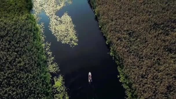 Luchtfoto Van Mensen Een Motorboot Een Kleine Rivier Luchtfoto Van — Stockvideo