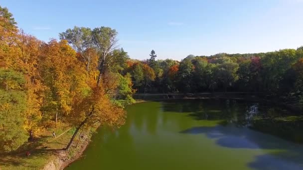 Flug Über Den Herbstsee Dorf Herbstlicher Naturlandschaftsflug Über Schönen Park — Stockvideo