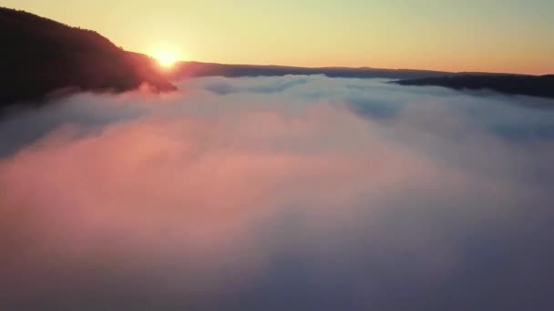 日の出に川の上に霧の空中ビュー 空中の川の上に厚い霧 Dniester 朝の霧の川 日の出の霧 — ストック動画