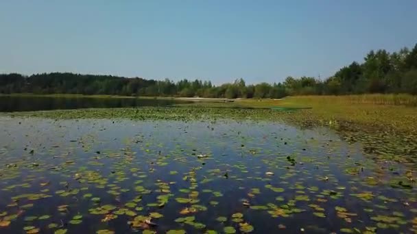 survol des bateaux et des nénuphars sur la rive du lac, rive de la rivière par une journée ensoleillée, vue aérienne des vieux bateaux sur le lac 