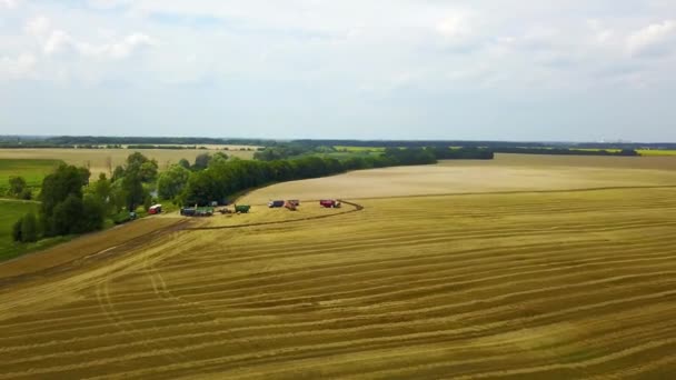 Luchtfoto Van Landbouwmachines Het Tarwe Veld Landbouw Scène Met Landbouwmachines — Stockvideo