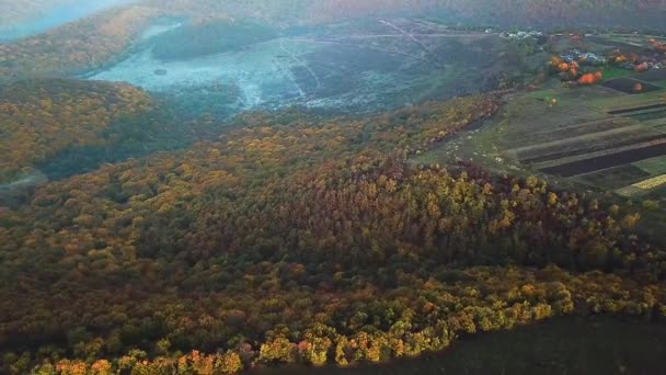 Vista Aérea Floresta Outono Voando Sobre Floresta Outono Vista Aérea — Vídeo de Stock