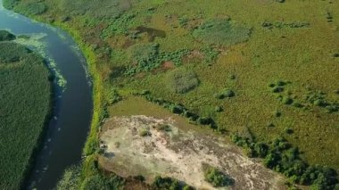 sulak üst görünümü, su yolları ve lagünler yüksek havadan görünümü, Bataklık through Havadan Geri Drift