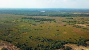 sulak üst görünümü, su yolları ve lagünler yüksek havadan görünümü, Bataklık through Havadan Geri Drift