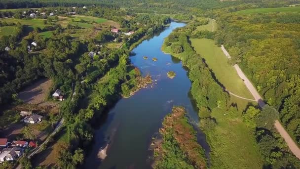 Vista Aérea Del Río Volando Sobre Los Árboles Verdes Del — Vídeo de stock