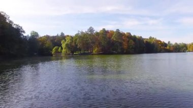 Sabah güneşinde bir göletin kıyısı, güneşli bir günde Autumn Park, parkta renkli sonbahar ağaçları, gölün kıyısında sarı sonbahar yaprakları, sonbahar tabiatı.