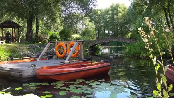 Steg Mit Booten Auf Dem Teich Boote Mit Rettungsring Auf — Stockvideo