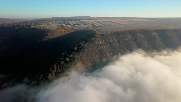 Letecký Pohled Mlhu Nad Řekou Při Východu Slunce Hustá Mlha — Stock video