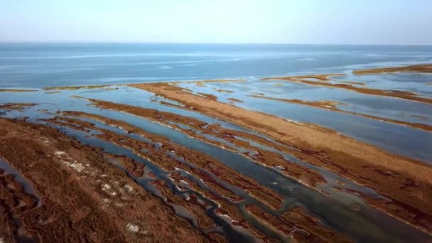 日没時の島の秋の草原の空中ビュー 秋のDzharylgach島の空中ビュー 海の近くの湖の空中ビュー 日没時の島の湖の空中ビュー — ストック動画