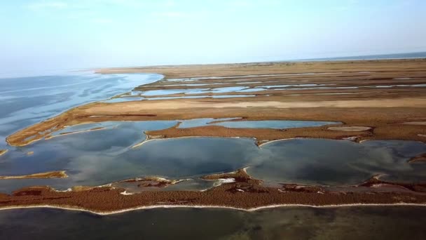 日没時の島の秋の草原の空中ビュー 秋のDzharylgach島の空中ビュー 海の近くの湖の空中ビュー 日没時の島の湖の空中ビュー — ストック動画