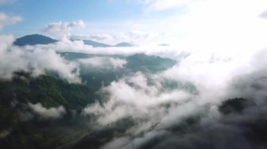 Dağlarda bulutlarda uçmak, dağlarda sabah bulutları, dağlarda sabah sisi, gün doğumunda gökyüzü ve bulutların üstünde hava manzarası, Karpatya 'da dağlarda görkemli bulutlar.