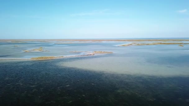 海の上の小さな島の上の鳥の群れの空中ビュー 空中ビューカモメやペリカン浅い海の上に飛んで 黒海の上の小さな島の上に飛行し 浅い海と多くの島の空中ビュー — ストック動画