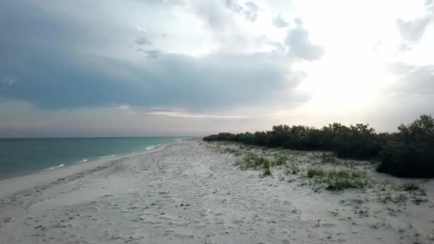 Lot Nad Pustynną Piaszczystą Plażą Nad Morzem Drzewo Oliwne Nad — Wideo stockowe