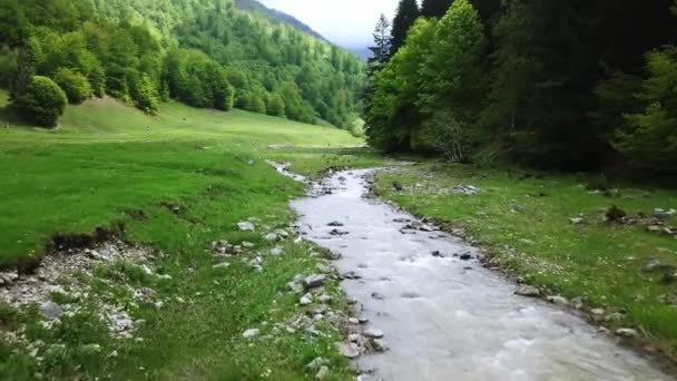 Dağ Nehri Üzerinden Uçmak Dağlardaki Dere Manzarası Akarsu Kayalar Dağ — Stok video