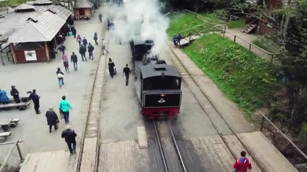 Vista Aerea Della Vecchia Locomotiva Vapore Romania Treno Scartamento Ridotto — Video Stock