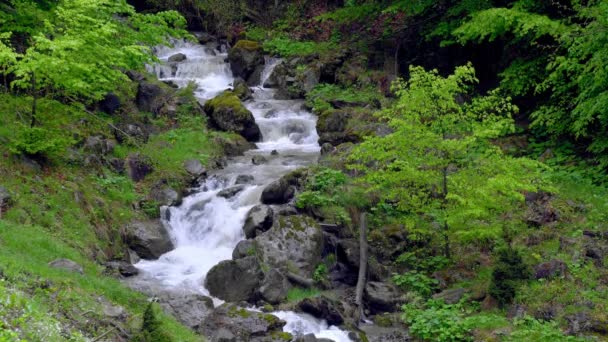 Creek Mountains Stream Water Rocks Aerial View Mountain Stream Mountain — Stock Video