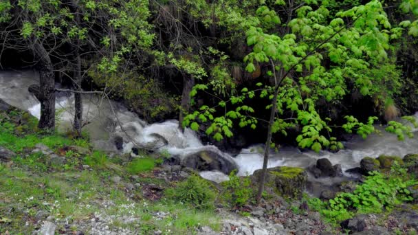 山间小溪 溪水和岩石 山间溪流的空中景观 山间河流急流 — 图库视频影像