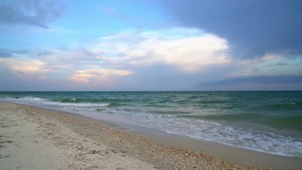 Litorale Mare Sera Rallentatore Spiaggia Sabbiosa Deserta Vicino Mare Tramonto — Video Stock