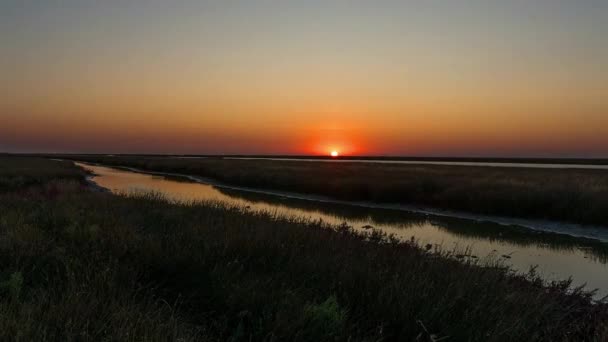 Zonsopgang Rivier Steppe Time Lapse Dageraad Steppe Time Lapse Zonsopgang — Stockvideo