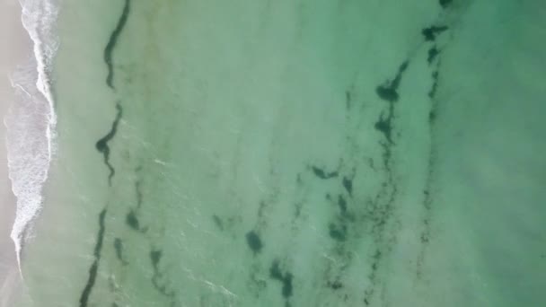 雪の白いビーチと海の波 ビーチと海の波の空中ビュー 海岸に到達する海の波の空中ドローン映像 ターコイズブルーの海の美しい波の空中ドローンビュー — ストック動画