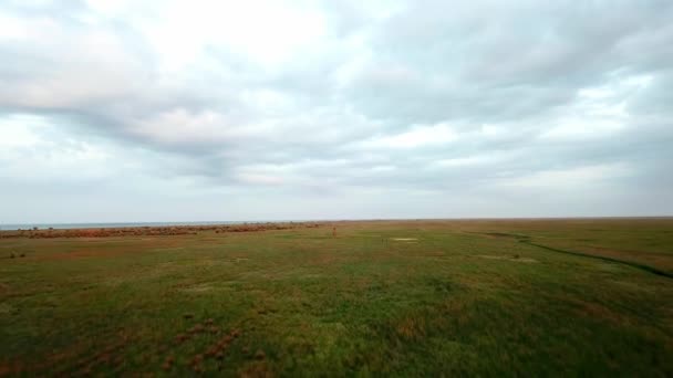 Vista Aérea Amanhecer Estepe Nascer Sol Antena Pradaria Vista Superior — Vídeo de Stock