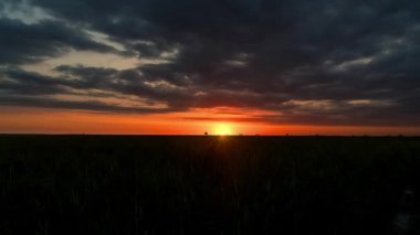 Bozkırda şafak söküyor, bozkırda gün doğuyor, tarlada güneş doğuyor, tarlada güneş doğuyor.
