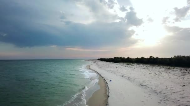 Repülés Felett Egy Elhagyatott Homokos Strand Tenger Mellett Olajfa Tenger — Stock videók