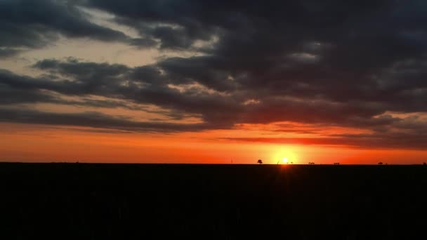 Morgendämmerung Der Steppe Zeitraffer Sonnenaufgang Der Prärie Sonnenaufgang Über Dem — Stockvideo