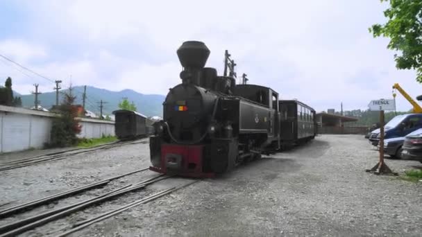罗马尼亚的旧蒸汽机车 蒸汽机车 蒸汽机车 慢吞吞地穿过乡村的蒸汽机车 窄轨铁路 — 图库视频影像