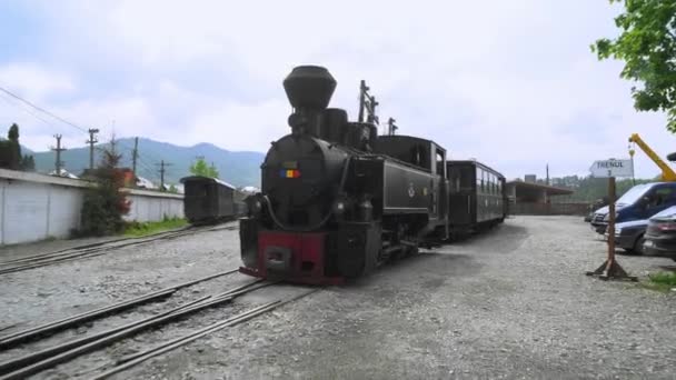 ルーマニアの古い蒸気機関車 蒸気機関車狭軌鉄道 田舎の狭軌鉄道を通る蒸気機関車 — ストック動画