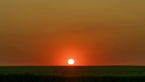 麦田上的日出时差 草原上的黎明时差 草原上的日出 田野上的日出 田野上的晨阳 — 图库视频影像