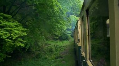 Eski bir tren vagonunun çatısından manzara, Romanya 'da eski bir buhar lokomotifi, buharlı dar ölçü treni, kırsal alanda tıkırdayan buhar treni, dar ölçülü demiryolu.