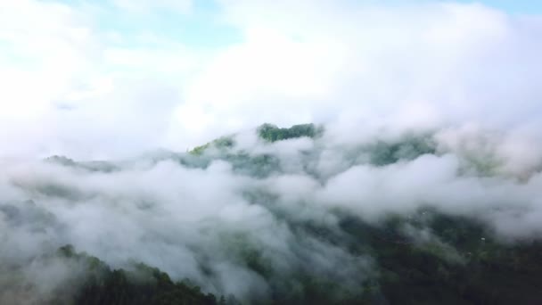 山の中の雲の中の飛行 山の中の朝の雲空中 山の中で朝の霧の空中ビュー 日の出の時間に雲と空の上の空中ビュー カルパチアの山の風景の中の雄大な雲 — ストック動画