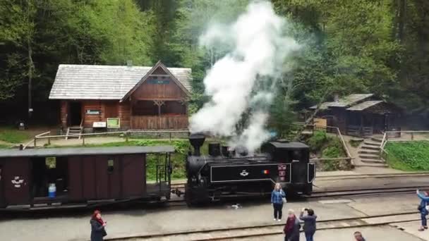 Vista Aérea Antigua Locomotora Vapor Rumania Tren Vía Estrecha Vapor — Vídeos de Stock