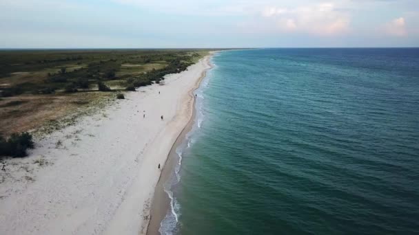 과해류의 해안에 도달하는 파도의 무인기 청록색 바다의 아름다운 파도의 무인기 — 비디오