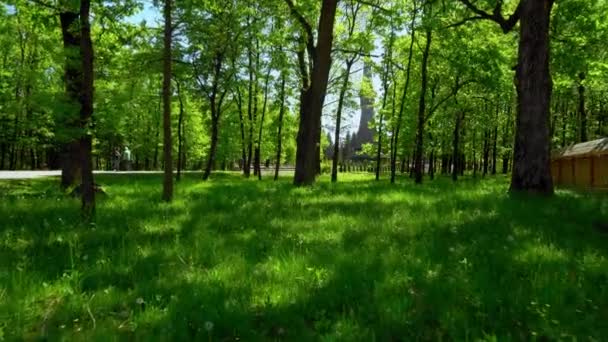 Hoogste Houten Kerk Van Europa Sapanta Peri Klooster Bucovina Roemenië — Stockvideo