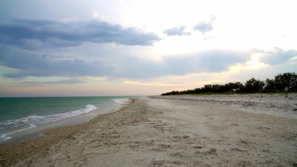 Mořské Pobřeží Večerních Hodinách Opuštěná Písečná Pláž Při Západu Slunce — Stock video