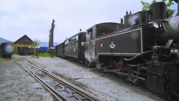 Romanya Eski Buhar Lokomotifi Buharlı Dar Ölçü Treni Kırsal Kesimde — Stok video