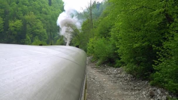 Vista Desde Techo Vagón Tren Retro Locomotora Vapor Antigua Rumania — Vídeos de Stock