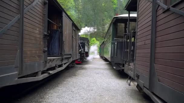 Caminar Entre Trenes Retro Antiguo Primer Plano Locomotora Vapor Tren — Vídeo de stock