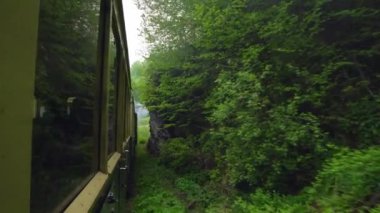 Eski bir tren vagonunun penceresinden manzara, Romanya 'da eski bir buhar lokomotifi, buharlı dar ölçü treni, kırsal alanda tıkırdayan buhar treni, dar ölçülü demiryolu.