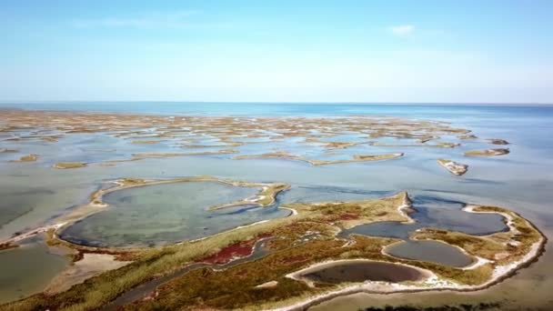 Pandangan Udara Dari Kawanan Burung Atas Pulau Pulau Kecil Laut — Stok Video