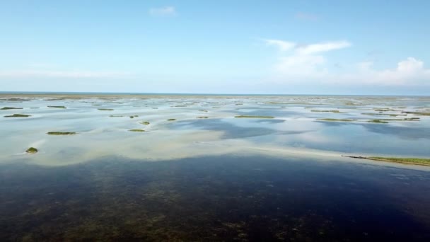 Flug Über Kleine Inseln Schwarzen Meer Luftaufnahme Des Flachen Meeres — Stockvideo