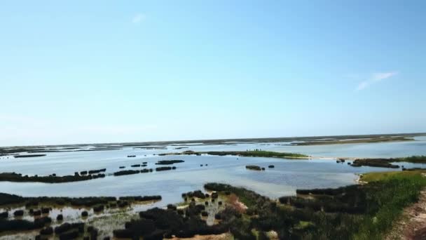 Aerial View People Shallow Flight Group People Dzharylgach Island — Stock Video