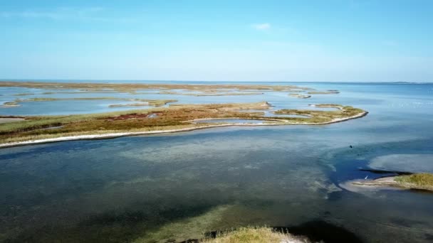 vue aérienne des volées d'oiseaux au-dessus de petites îles sur la mer, vue aérienne des mouettes et pélicans volant au-dessus de la mer peu profonde, vol au-dessus de petites îles sur la mer noire, vue aérienne de la mer peu profonde et de nombreuses îles 
