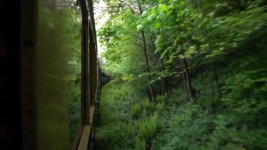 Eski bir tren vagonunun çatısından manzara, Romanya 'da eski bir buhar lokomotifi, buharlı dar ölçü treni, kırsal alanda tıkırdayan buhar treni, dar ölçülü demiryolu.