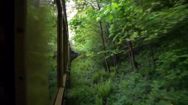 Zicht Vanaf Het Dak Van Een Retro Treinwagon Oude Stoomlocomotief — Stockvideo