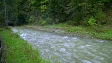 view on mountain river from the window of a retro train wagon, Old steam locomotive in Romania, Steam narrow gauge train, Steam train chugging through the countryside, narrow-gauge railway