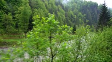 view on mountain river from the window of a retro train wagon, Old steam locomotive in Romania, Steam narrow gauge train, Steam train chugging through the countryside, narrow-gauge railway