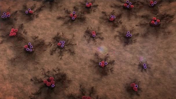 Mantar Mantar Deri Yüzeyi Peyzaj Microworld Mantar Büyüme Kolonisi — Stok video